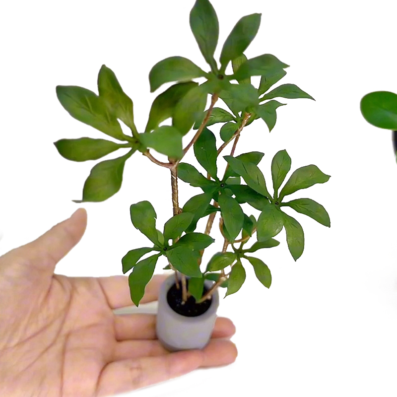Bonsai Gardenia - 1:6 Dollhouse Miniature Potted Plants Model