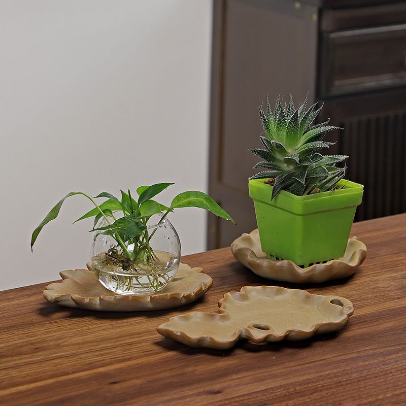 Brazilian Wood Hydroponic Plan - Drip Tray Saucer 评论和价格