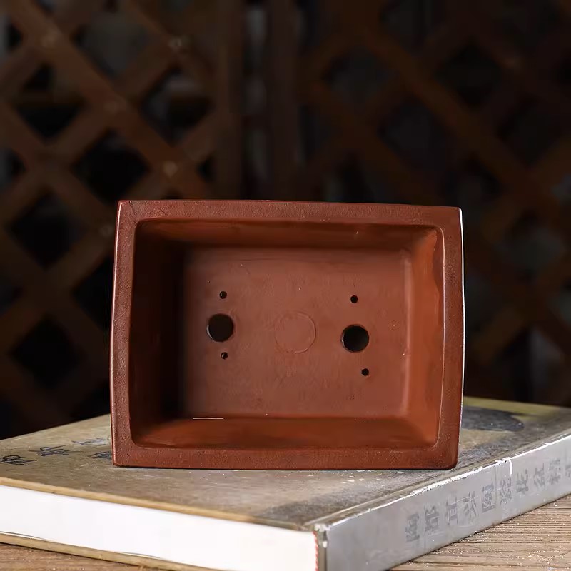 Purple Sand Carved Rectangle B - Bonsai Garden With Sand 评论和价格