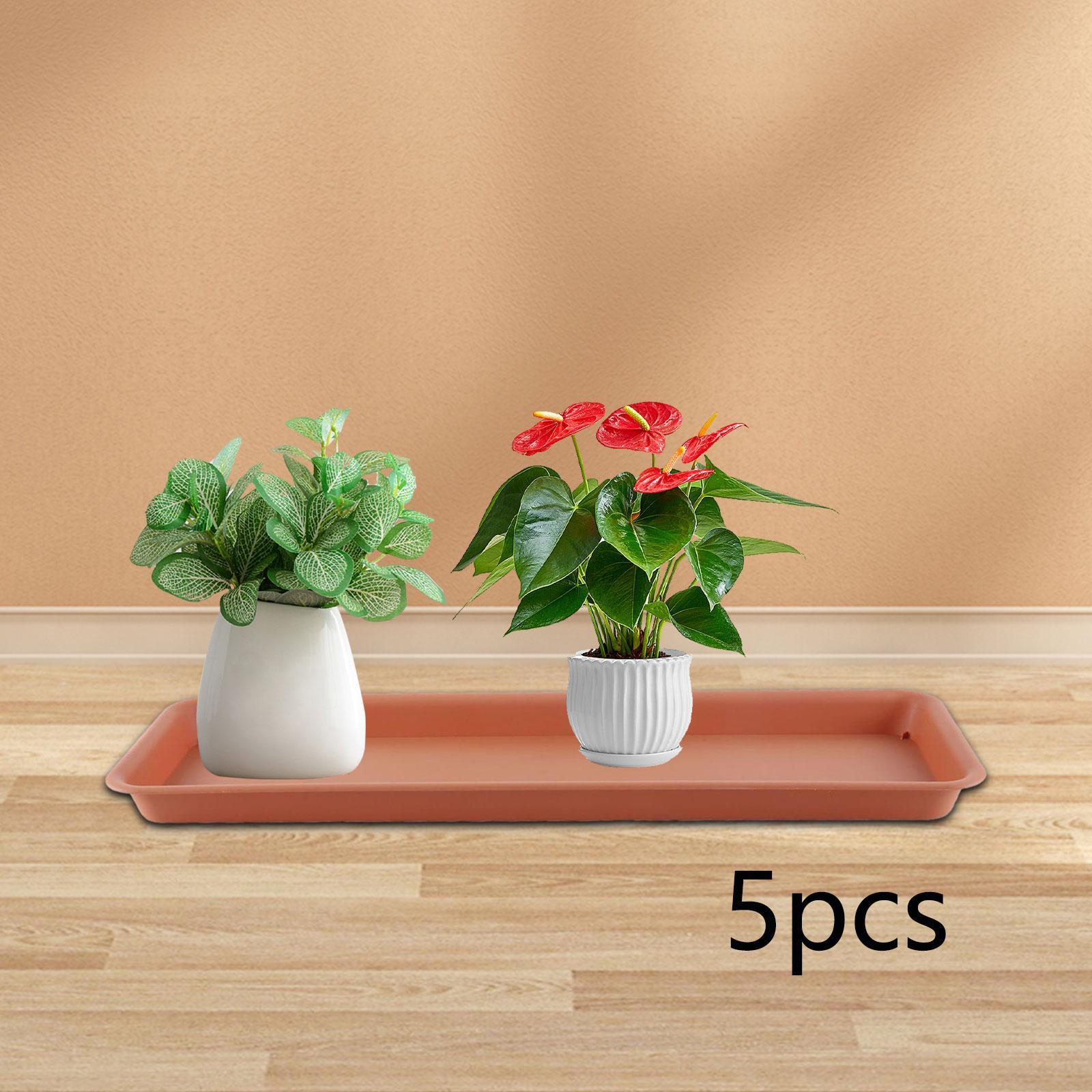 High Flower Pot for the Terrac - Drip Tray Saucer 评论和价格
