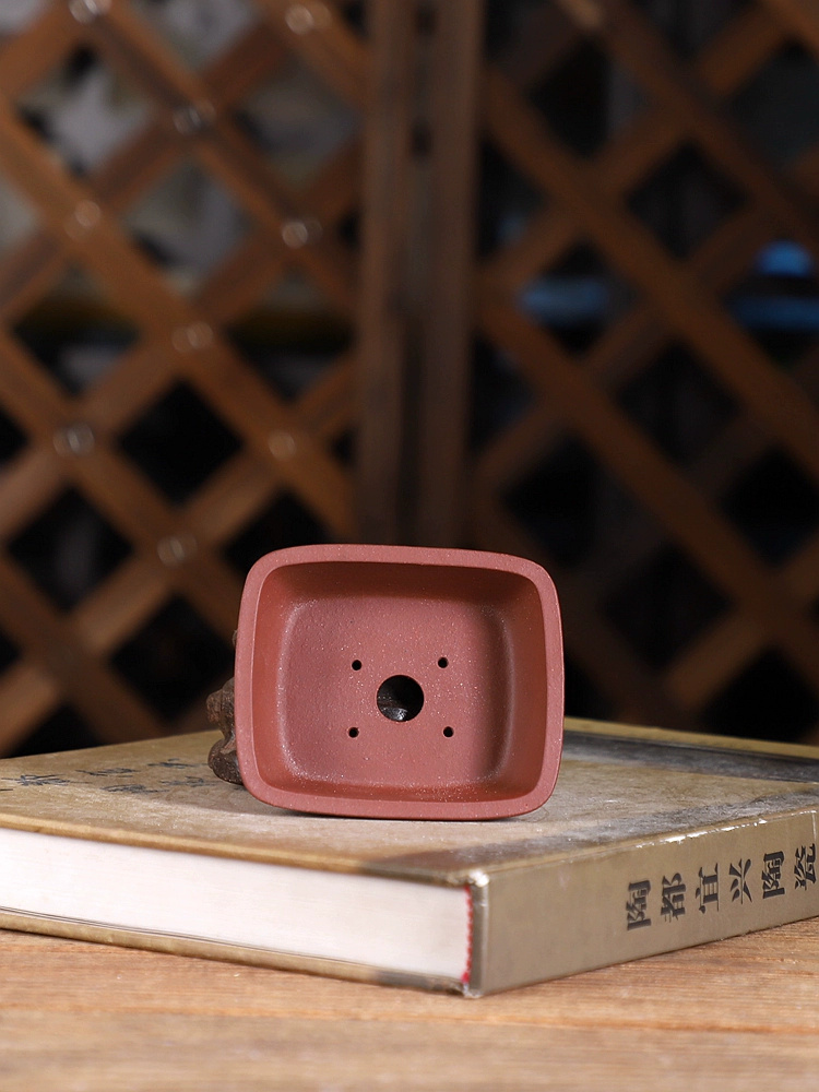Purple Sand Round Angle Rectan - Bonsai Garden With Sand 评论和价格