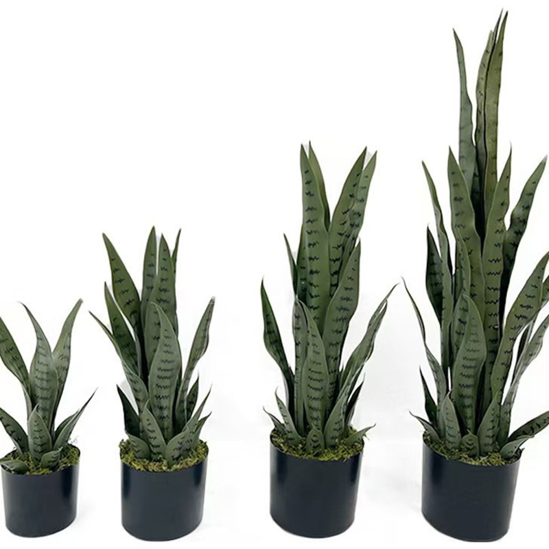 40-100cm Artificial Sansevieri - Bonsai Garden Zen 评论和价格