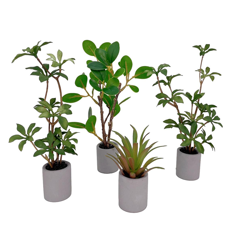 1:6 Dollhouse Miniature Potted - Bonsai Gardenia 评论和价格
