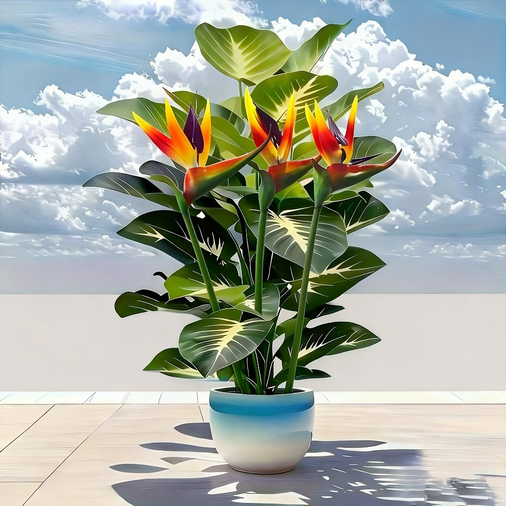 Artificial Bird of Paradise an - Bonsai Garden Zen 评论和价格