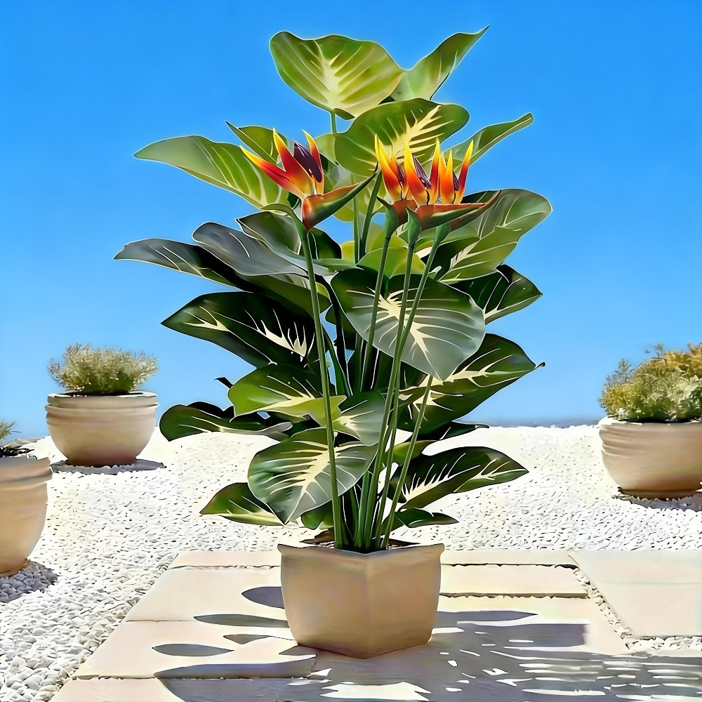 Artificial Bird of Paradise an - Bonsai Garden Zen 评论和价格