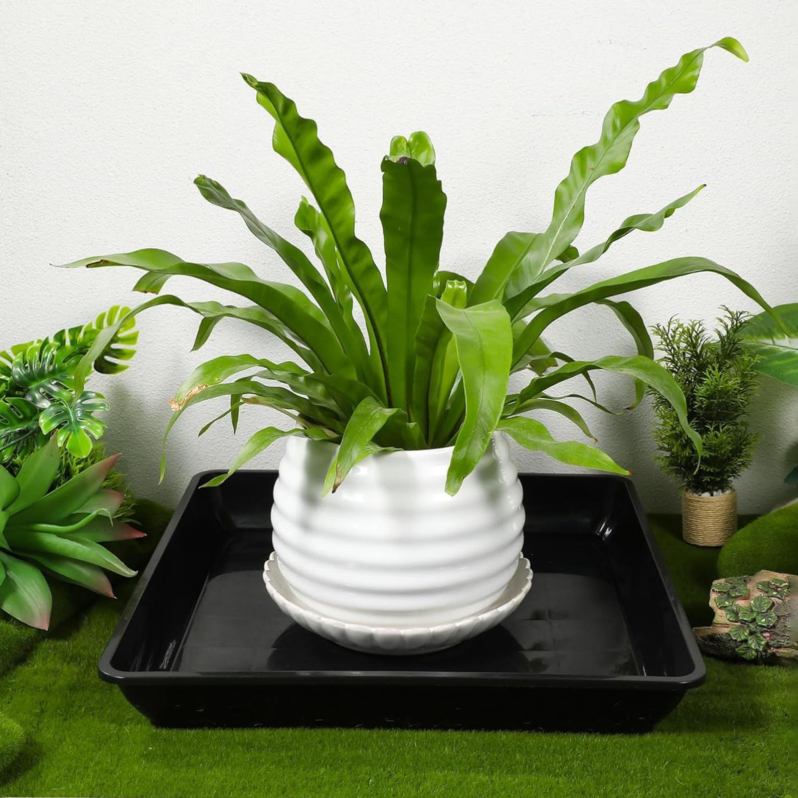 2 Pcs Flower Pot Base Thickene - Drip Tray Saucer 评论和价格