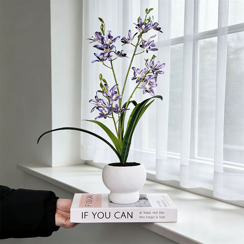 New Jumping Orchid Black Sand  - Bonsai Garden With Sand 评论和价格