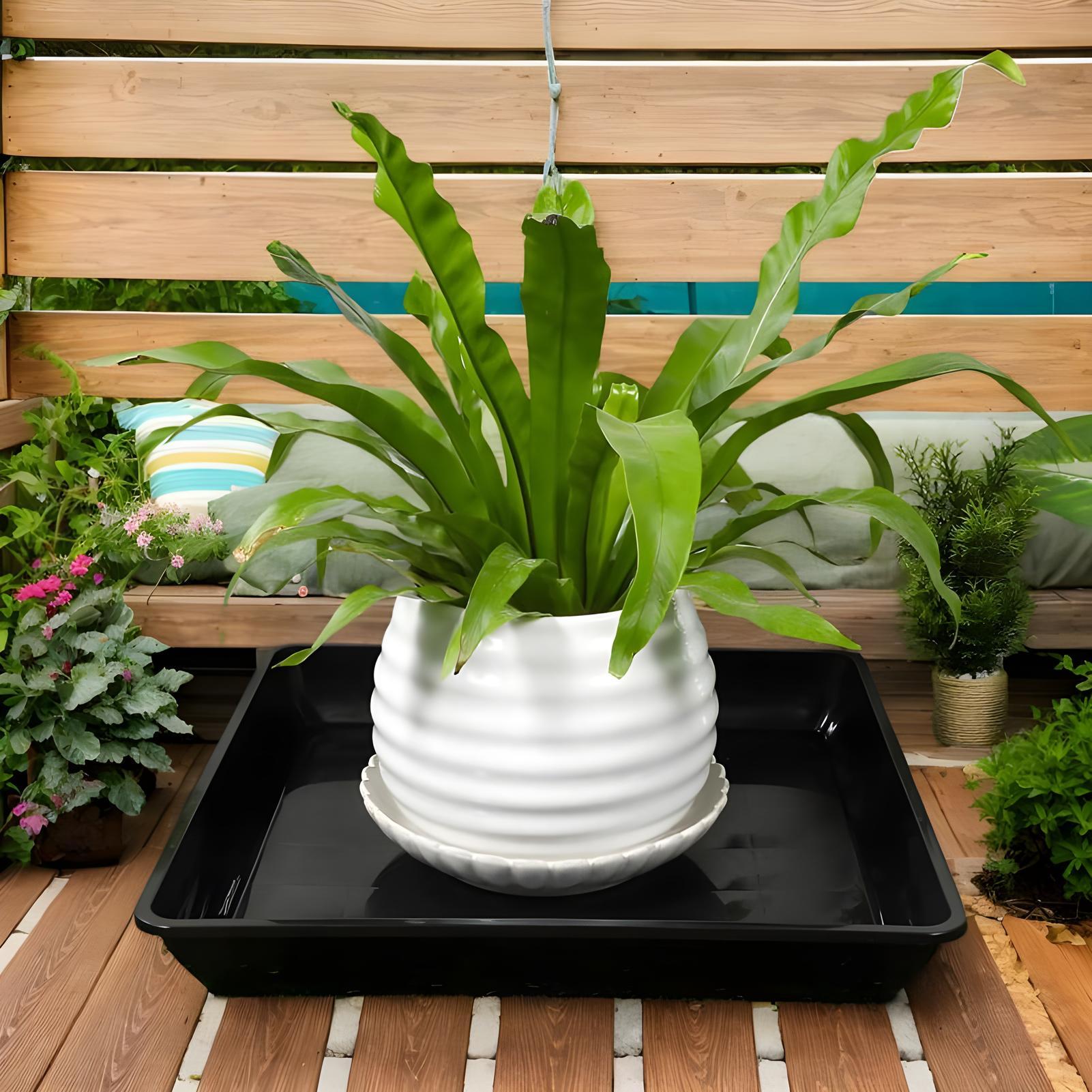 Plant Trays for Pots 2 Pieces  - Drip Tray Saucer 评论和价格