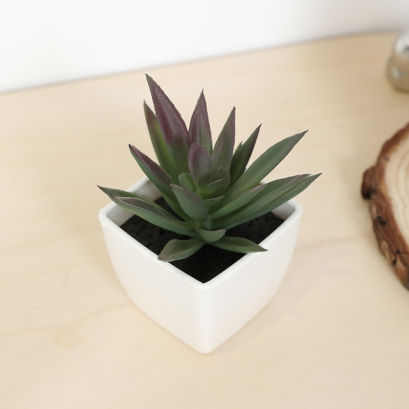 Mini Artificial Succulent Fair - Bonsai Garden Zen 评论和价格