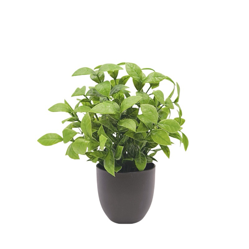 Simulation Green Plant Bonsai  - Bonsai Garden Zen 评论和价格