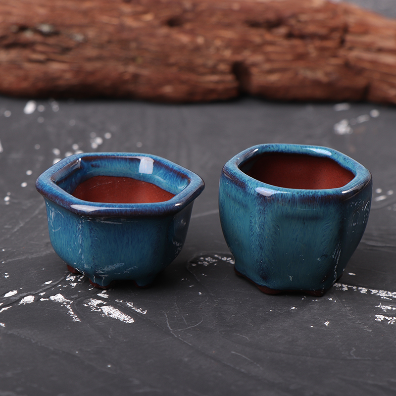 *Mini Plant Pots Flower Pot Wi - Bonsai Garden With Sand 评论和价格