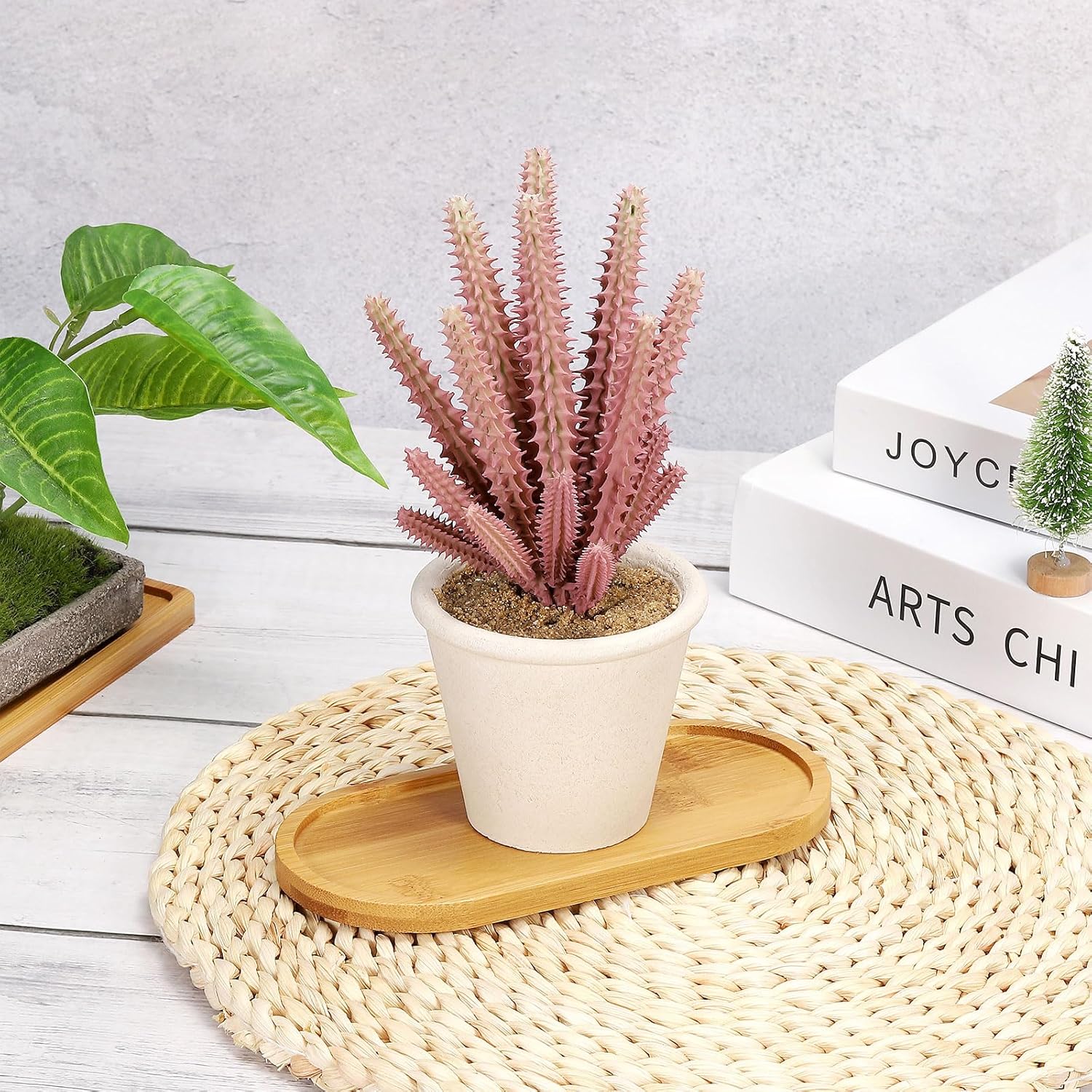 4pcs Bamboo Plant Saucer Oval  - Drip Tray Saucer 评论和价格