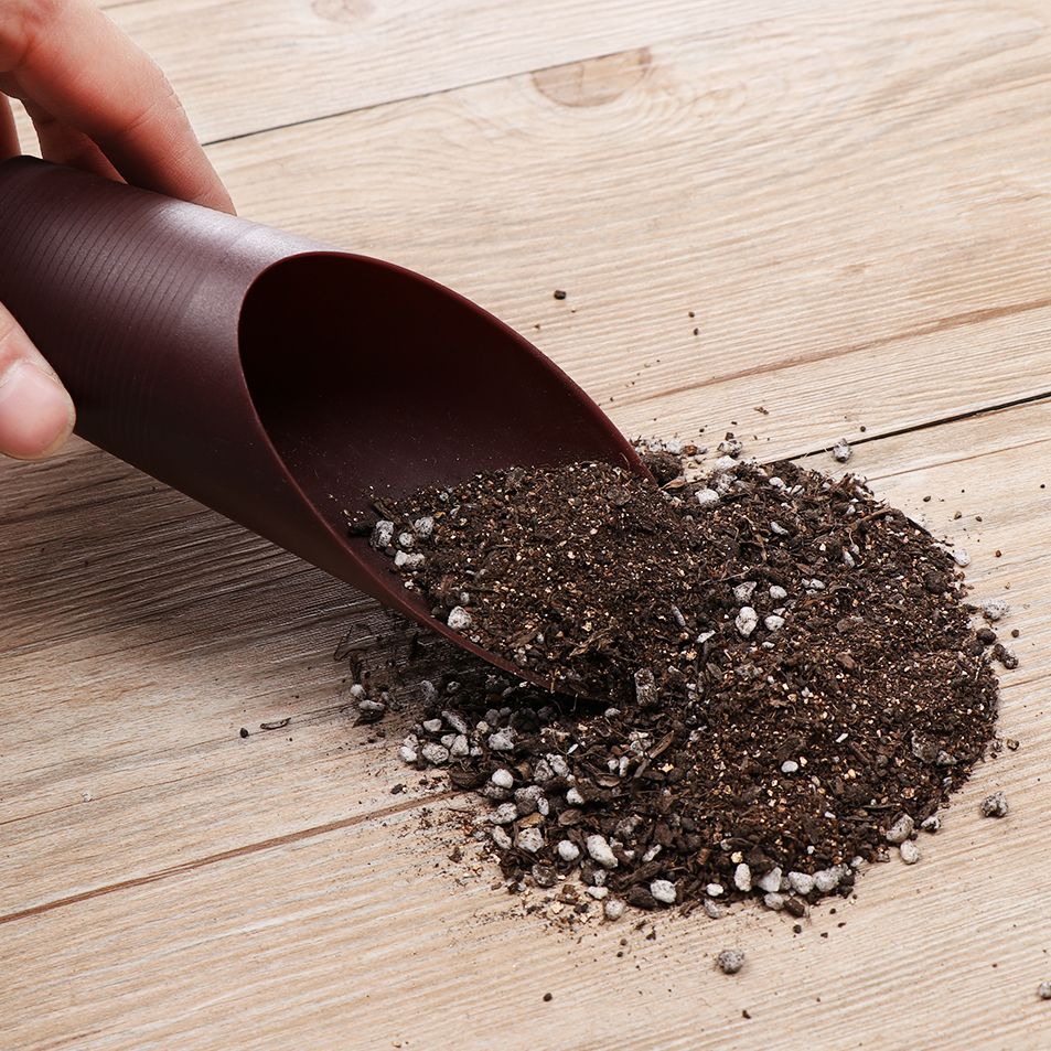 1PC Plastic Soil Shovel Cup Fo - Bonsai Garden Zen 评论和价格